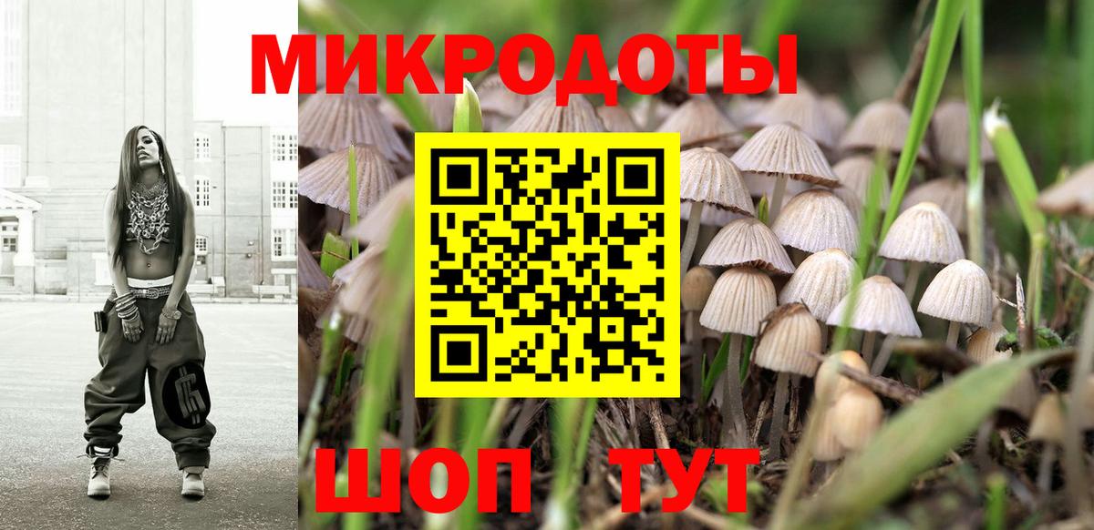 Галлюциногенные грибы Psilocybe Верхний Уфалей